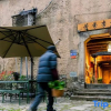 Отель Songyang Taoli Fenfang Homestay, фото 1
