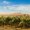 Отель Holiday Inn Express and Suites Union Gap- Yakima Area, an IHG Hotel, фото 18