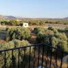 Отель Olive grove with sea view, 20' walk to the beach, фото 2