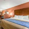 Отель Comfort Inn Livingston, фото 7