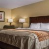 Отель Comfort Inn & Suites Farmington - Victor, фото 1