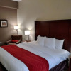 Отель Comfort Inn & Suites, фото 3