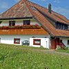 Отель Comfortable Apartment In Rickenbach Near Forest, фото 11