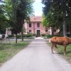 Отель Country House Villa delle Rose, фото 8