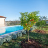 Отель Olive & Lavender villa with pool, фото 11
