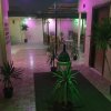 Отель Pyramids Inn Motel в Гизе