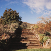 Отель Paradise Valley Lodge, фото 40