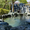 Отель Miya Onsen Higaki Hotel, фото 11
