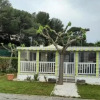 Отель Mobile Home dans Camping Saint Pierre Des Horts, фото 1