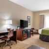 Отель Comfort Inn And Suites Griffin, фото 7