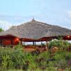 Отель Amboseli Eco Camp, фото 3