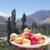 Отель Tourist Cottage Hunza, фото 10