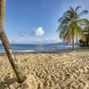 Отель Starfish Grenada Resort, фото 6