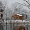 Отель Acorn Glade Glamping, фото 6