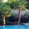 Отель Studio in Trecastagni, with Pool Access, Enclosed Garden And Wifi - 8 Km From the Beach, фото 11
