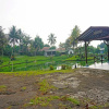 Отель OYO 91244 Hotel Lembah Nyiur, фото 11