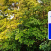 Отель Candlewood Suites East Syracuse - Carrier Circle, an IHG Hotel, фото 14