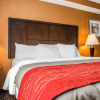Отель Comfort Inn, фото 5