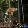 Отель Giraffe Manor Hotel, фото 3