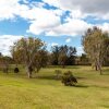 Отель Gateway Lifestyle Grafton, фото 2