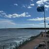 Отель Montrose 2 Bedroom Flat Golf, Hike, castling& more, фото 5