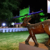 Отель The Heritage Village Resort and Spa, фото 16