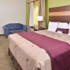 Отель Americas Best Value Inn & Suites Houston Downtown, фото 6