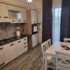 Отель Apartament Dem Radulescu, фото 3