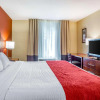 Отель Comfort Inn, фото 3