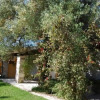 Отель Scalilla - L'Agriturismo, фото 19