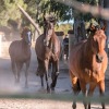 Отель Posada Rural La Corbera, фото 43