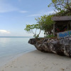 Отель Hoga Island Dive Resort Wakatobi, фото 35