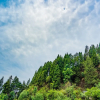 Отель OYO 12395 Home Cozy 1BHK Near Mussoorie Bus Stand, фото 24