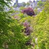 Отель Parkhotel Waldschlösschen, фото 49