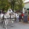 Отель und Gasthaus zum Eichenkranz, фото 42