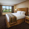 Отель DoubleTree Suites by Hilton Anaheim Rsrt - Conv Cntr, фото 7
