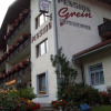Отель Pension Grein, фото 1