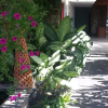 Отель Jada Beach Residence, фото 14