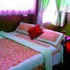 Отель Camellia Inn Nuwara Eliya, фото 1
