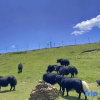 Отель Jiuling shanJu Hotel, Xinduqiao, Kangding City, фото 10