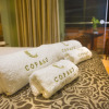 Отель Copasu Hotel, фото 24