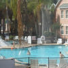 Отель Ventura Resort Rentals Kissimmee, фото 8