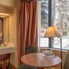Отель Cozy Pet-friendly King Studio In Mt. Crested Butte Condo - No Cleaning Fee! by Redawning, фото 2