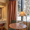 Отель Cozy Pet-friendly King Studio In Mt. Crested Butte Condo - No Cleaning Fee! by RedAwning, фото 2