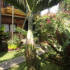 Отель Puri Cantik Bungalow, фото 11