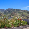 Отель Casas Tipicas Candelaria Tabua, фото 26