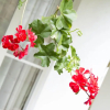 Отель Diyathala Regency Boutique Hotel, фото 43