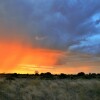 Отель Jackalberry Chobe в Касане