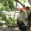 Отель Quinta Inforarte, фото 6