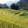 Отель SaPa Farmer House, фото 6